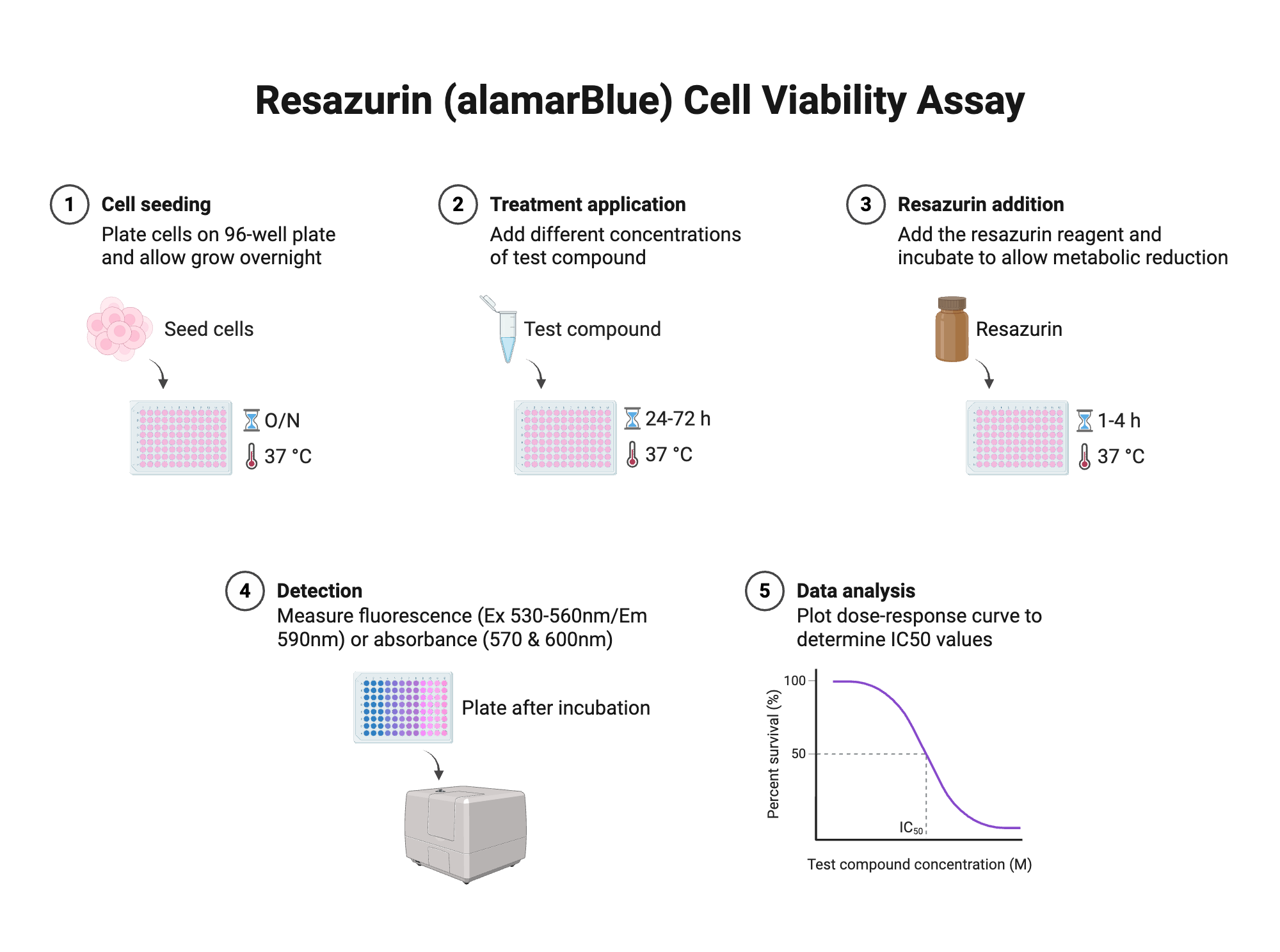 An editable high resolution scientific image depicting Resazurin (alamarBlue) Cell Viability Assay