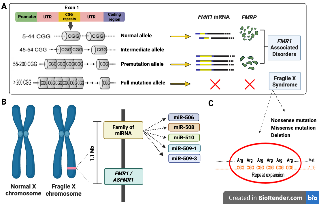 figure image