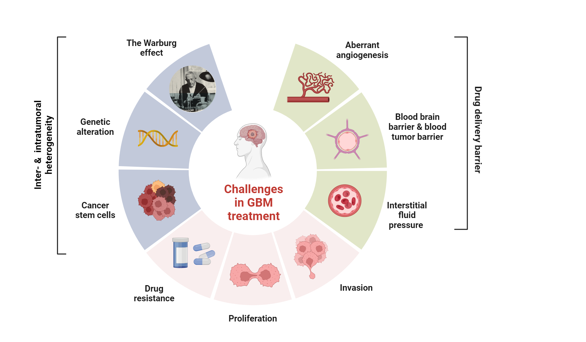 An editable high resolution scientific image depicting Challenges in GBM treatment