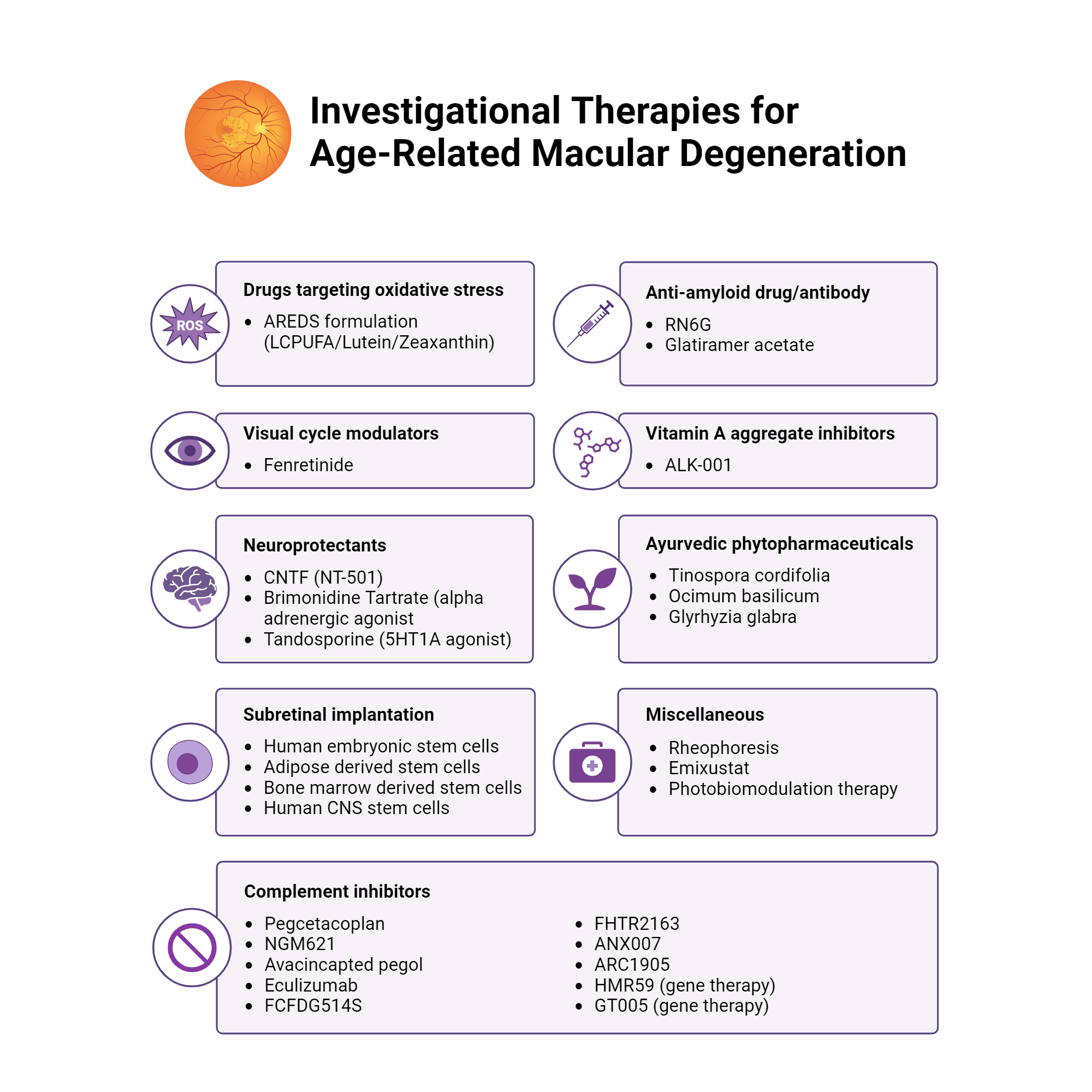 An editable high resolution scientific image depicting Investigational Therapies for Age-Related Macular Degeneration