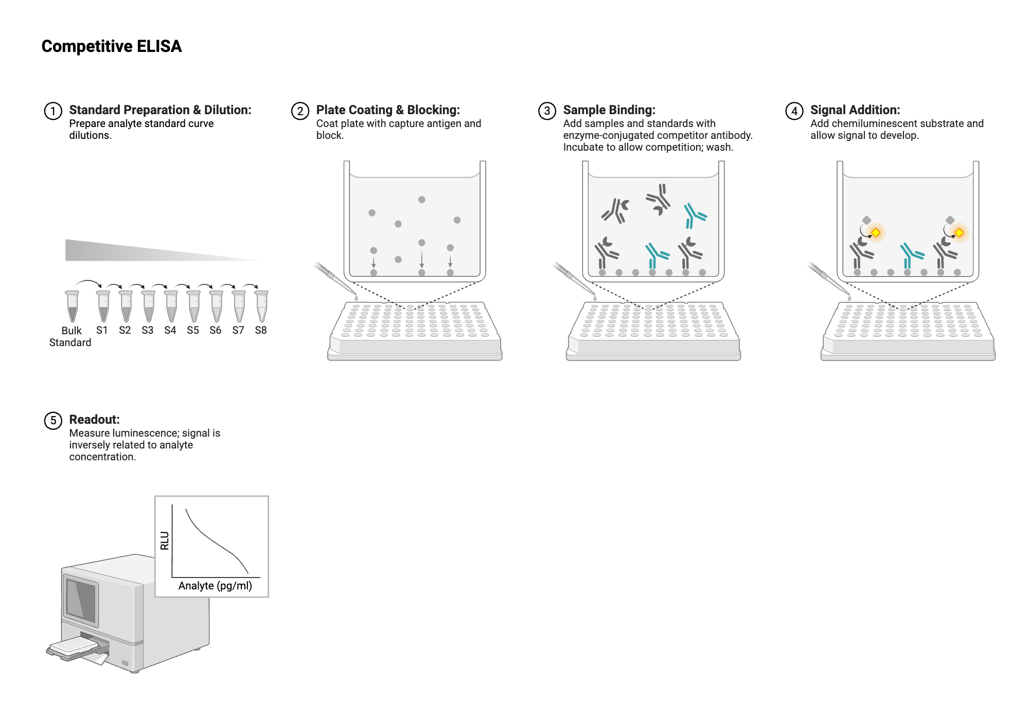 An editable high resolution scientific image depicting ELISA - Plate View - Competitive - Antibody - Antibody-labeled - Chemiluminescent