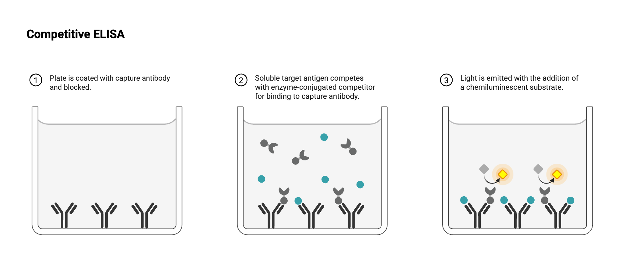 An editable high resolution scientific image depicting ELISA - Well View - Competitive - Antigen - Antigen-labeled - Chemiluminescent