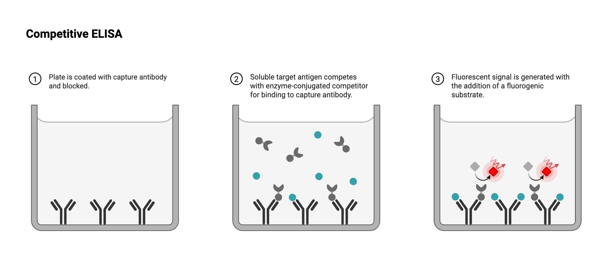 An editable high resolution scientific image depicting ELISA - Well View - Competitive - Antigen - Antigen-labeled - Fluorescent