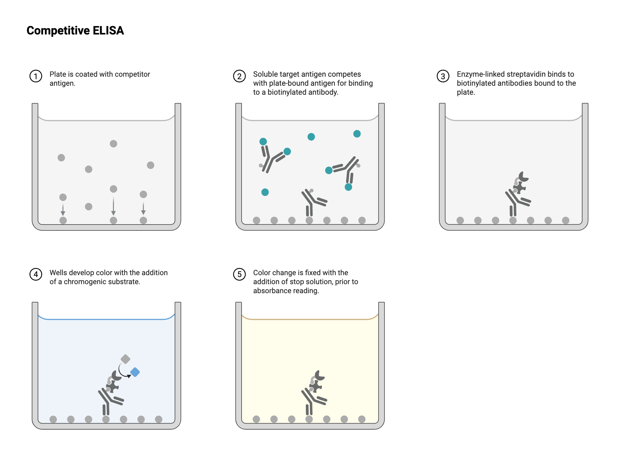 An editable high resolution scientific image depicting ELISA - Well View - Competitive - Antigen - Antibody-labeled - Colorimetric - Unconjugated