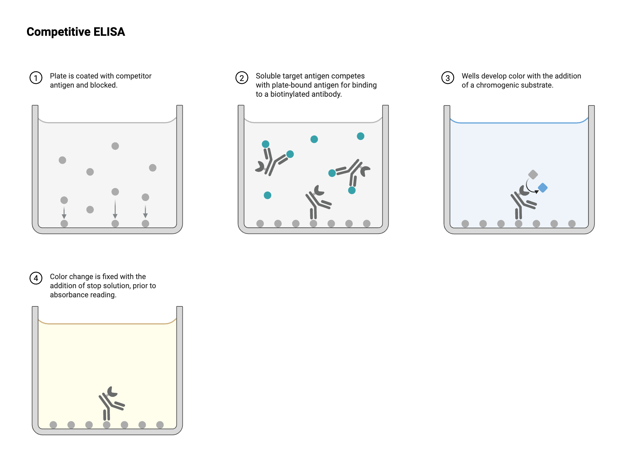 An editable high resolution scientific image depicting ELISA - Well View - Competitive - Antigen - Antibody-labeled - Colorimetric - Conjugated