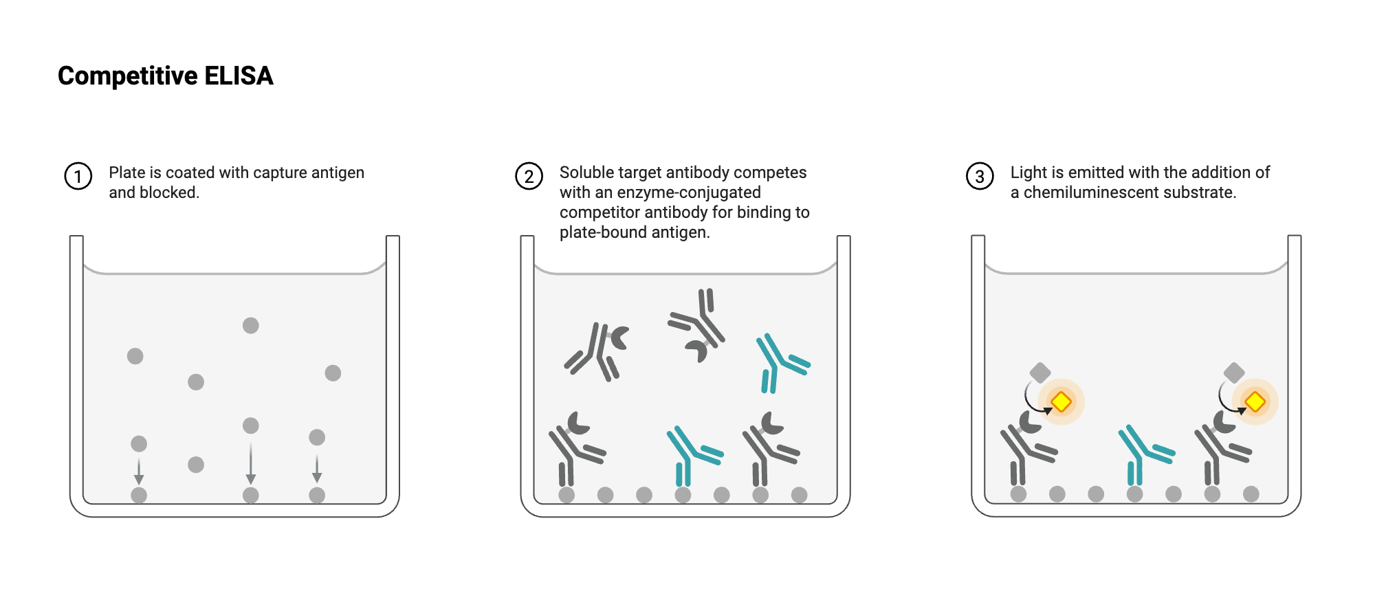 An editable high resolution scientific image depicting ELISA - Well View - Competitive - Antibody - Antibody-labeled - Chemiluminescent