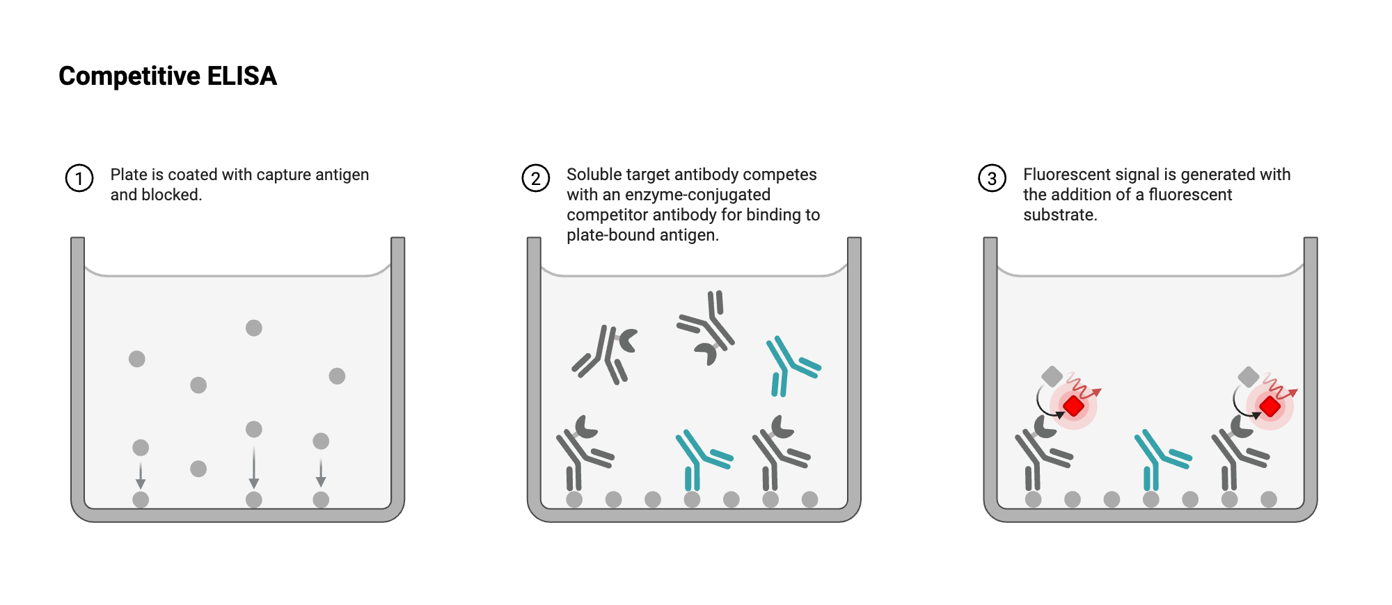 An editable high resolution scientific image depicting ELISA - Well View - Competitive - Antibody - Antibody-labeled - Fluorescent