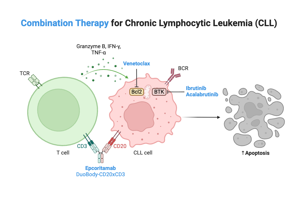 An editable high resolution scientific image depicting Combination Therapy for Chronic Lymphocytic Leukemia (CLL)