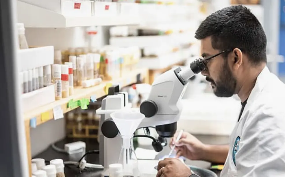 Scientist in a white lab coat using a microscope in a laboratory filled with sample containers.