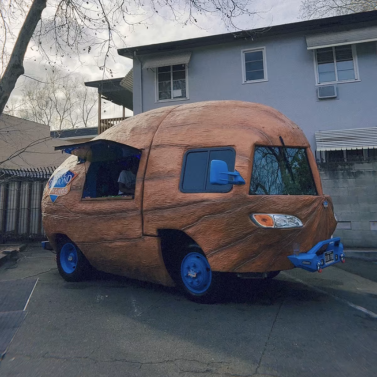 the Nitty Cruiser