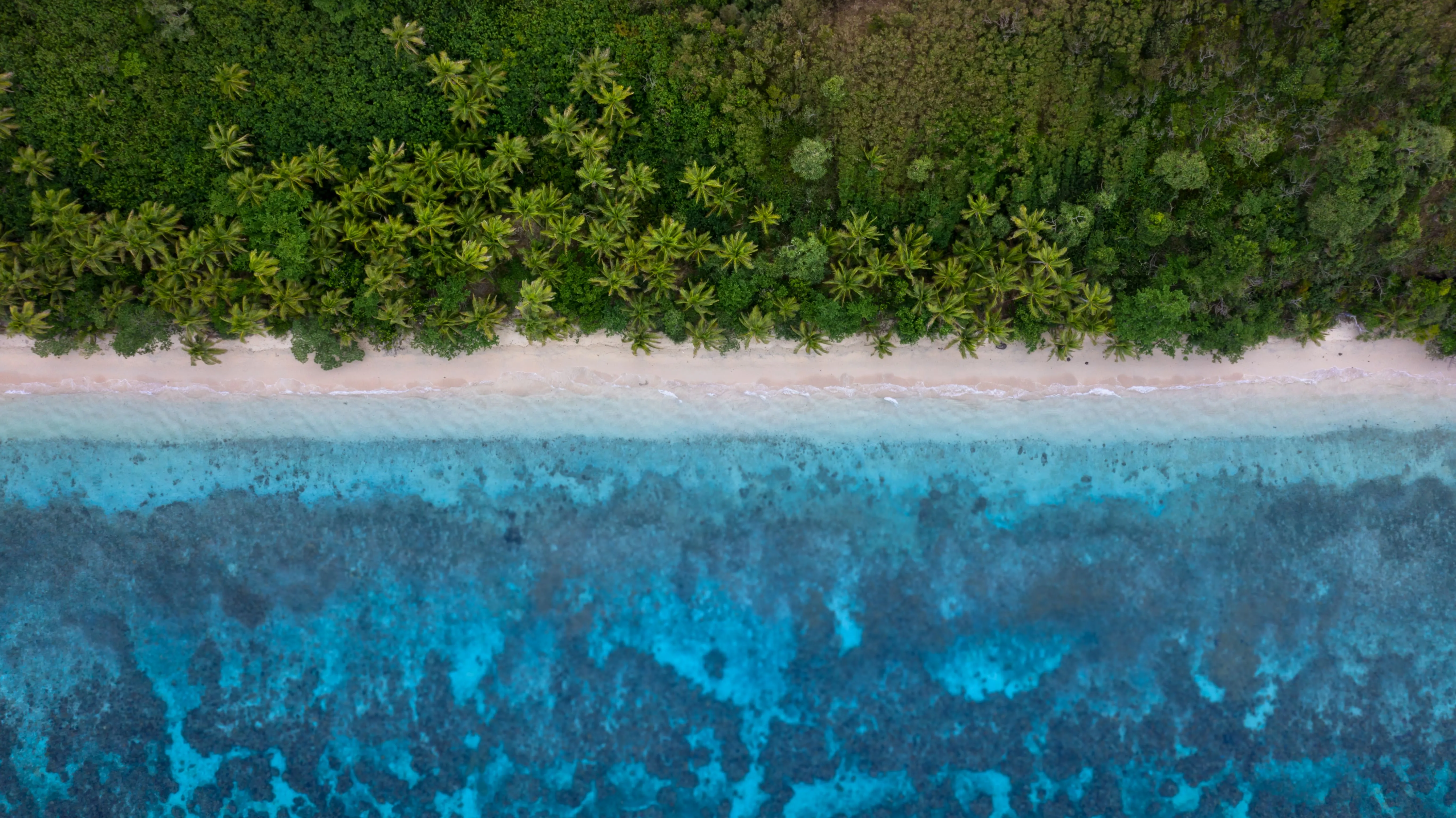 Cruise Tours - Hotel Webflow Template