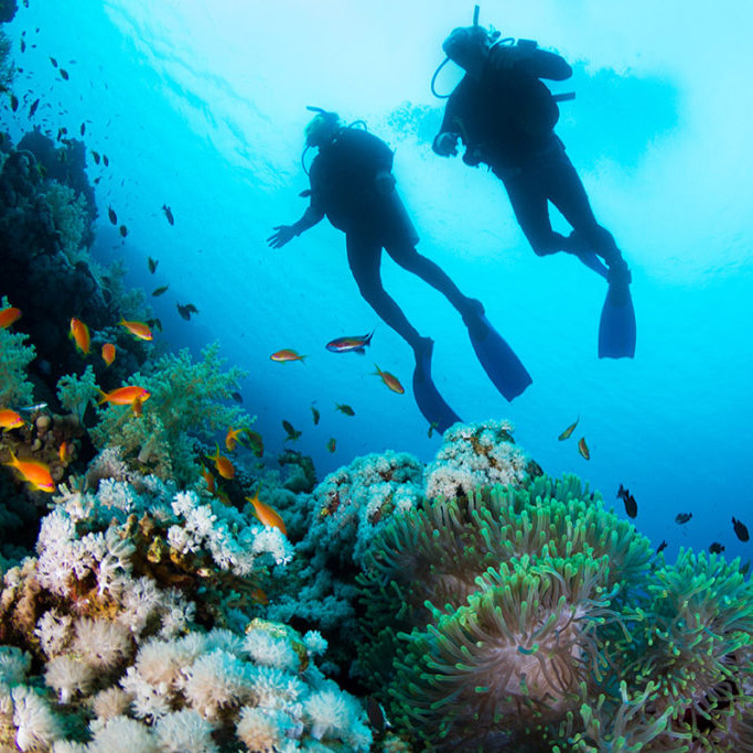 Scuba Diving in Fiji