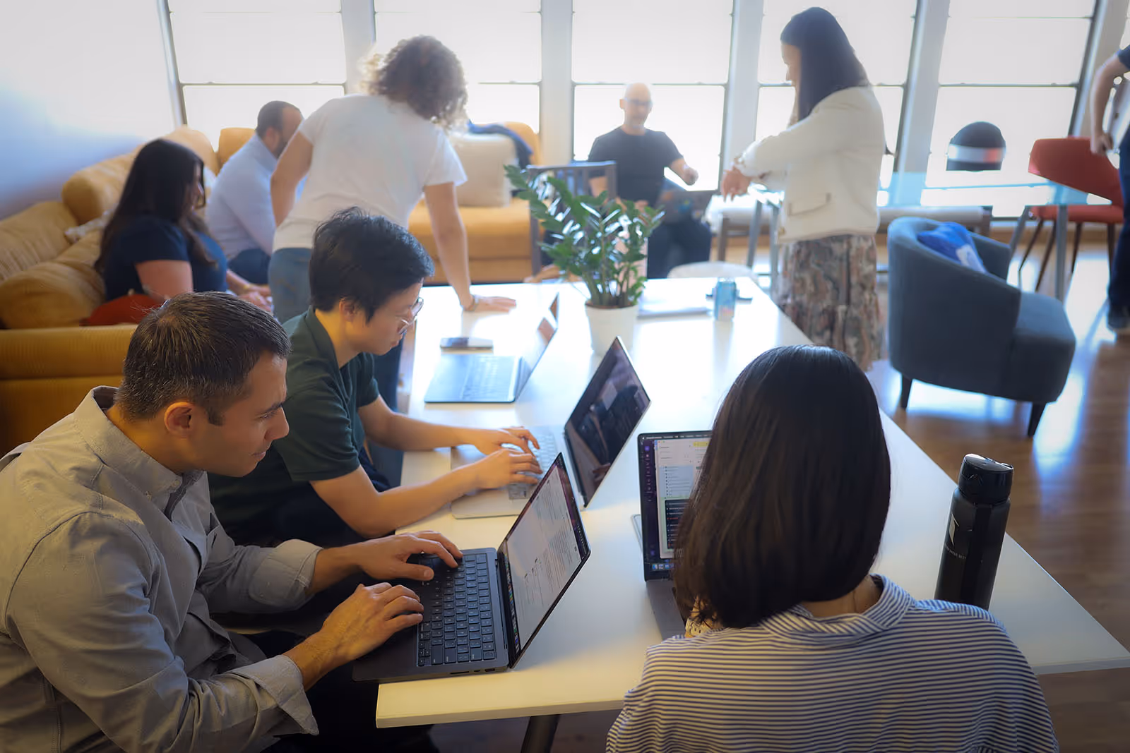 Streamline team collaborating
