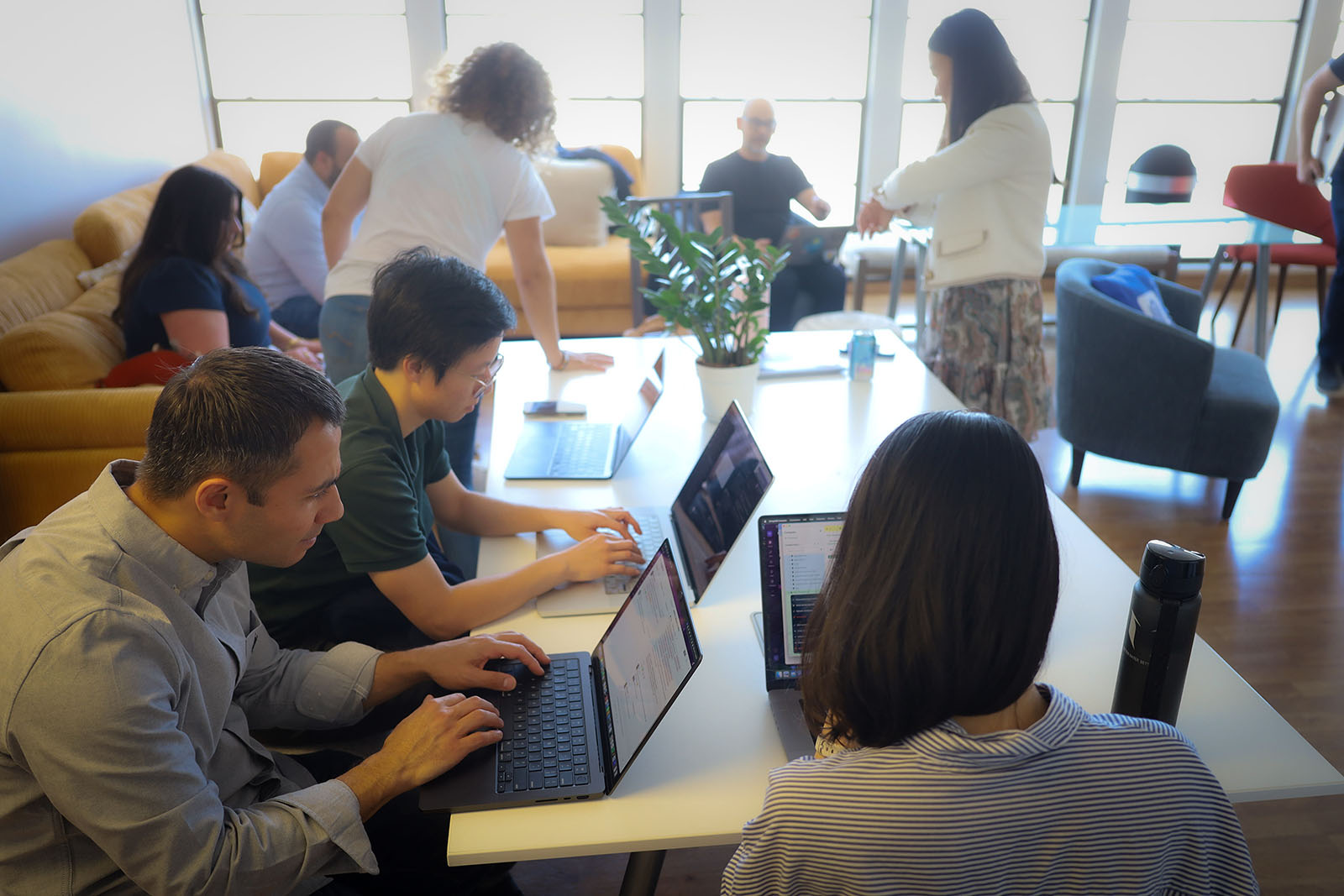 Streamline team collaborating