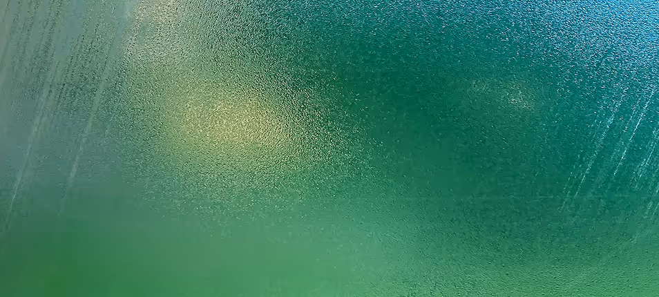 Close-up of a textured green surface with varying shades and light reflections.