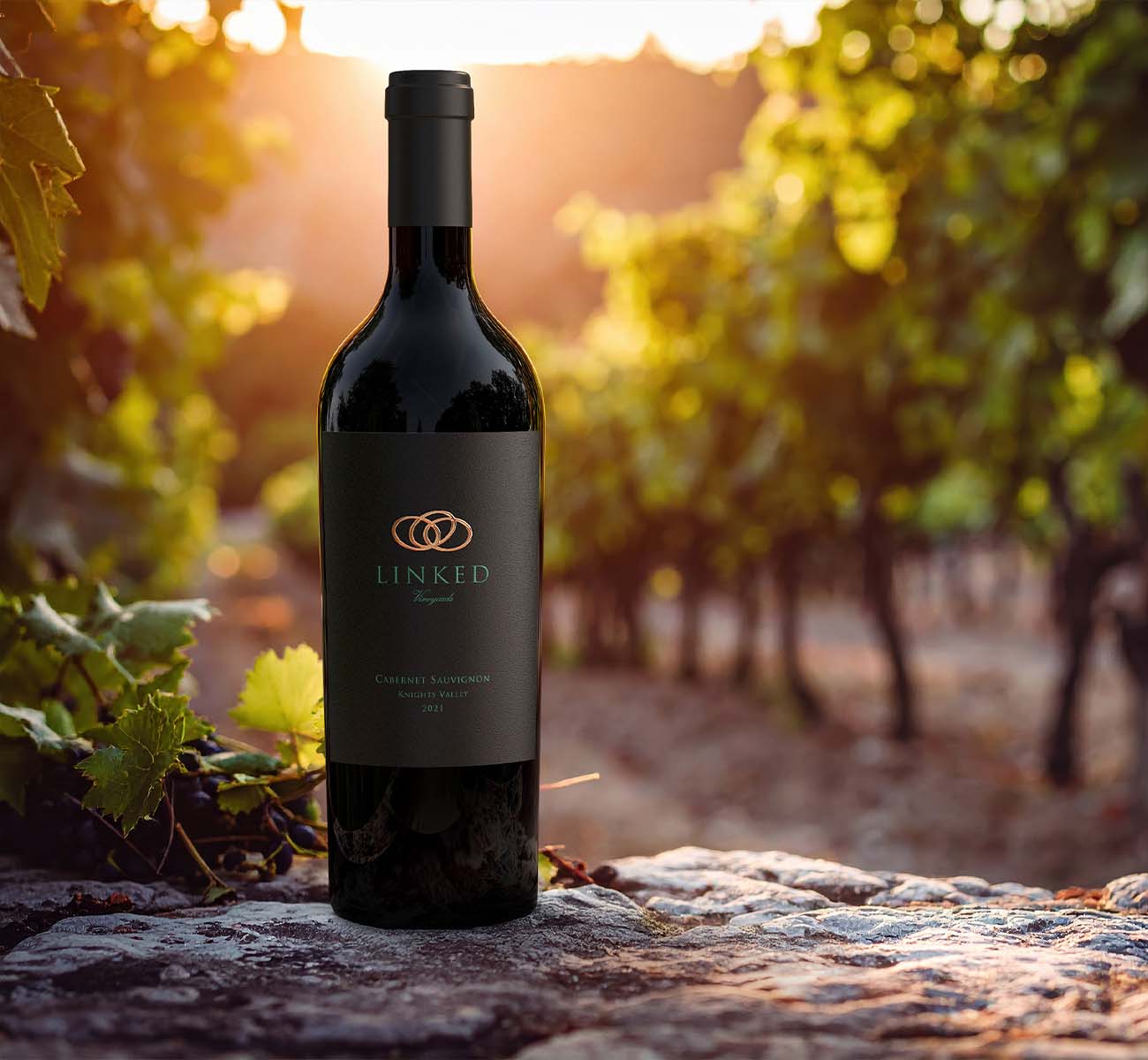 Photorealistic 3D render of a wine bottle in vineyard setting, created by Outshinery illustrating authentic outdoor lighting and natural depth.