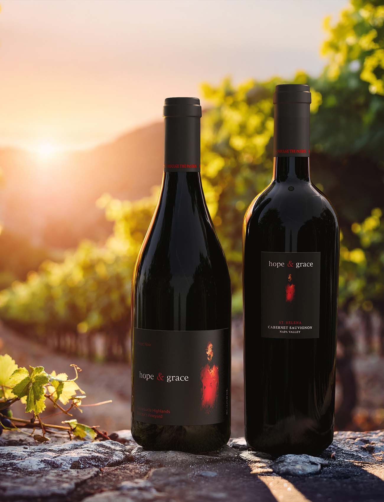 Pinot Noir and CabSauv bottle on a stonewall in the vineyard by sunset, a lifestyle image by Outshinery