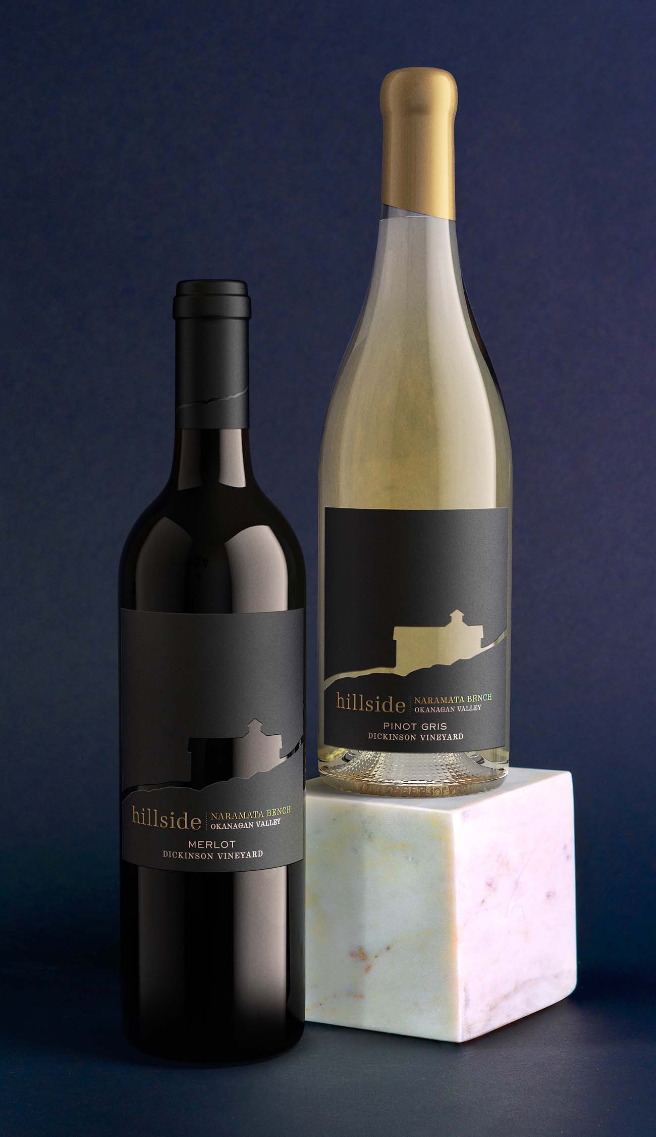 Photorealistic render of two wine bottles—one dark red and one light white—set against a soft blue backdrop on a textured stone block, showcasing premium-quality product imagery.