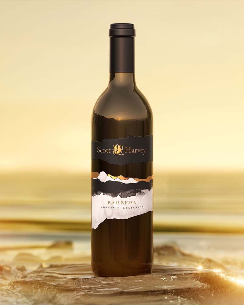 A single Barbera wine bottle placed outdoors near the shoreline with golden light