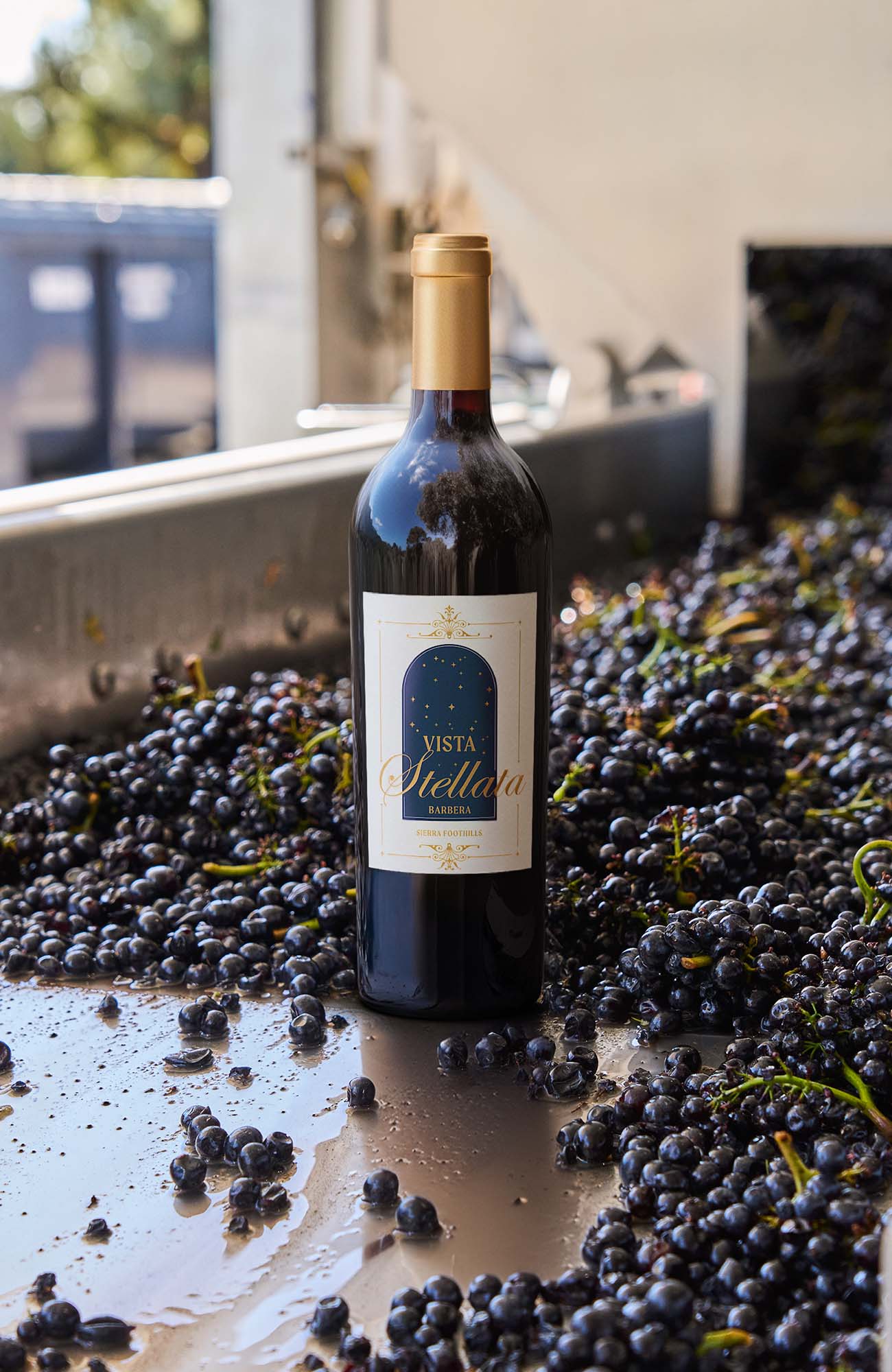 A single wine bottle standing in a shallow tray filled with harvested grapes inside a winery environment. Lifestyle image by Outshinery