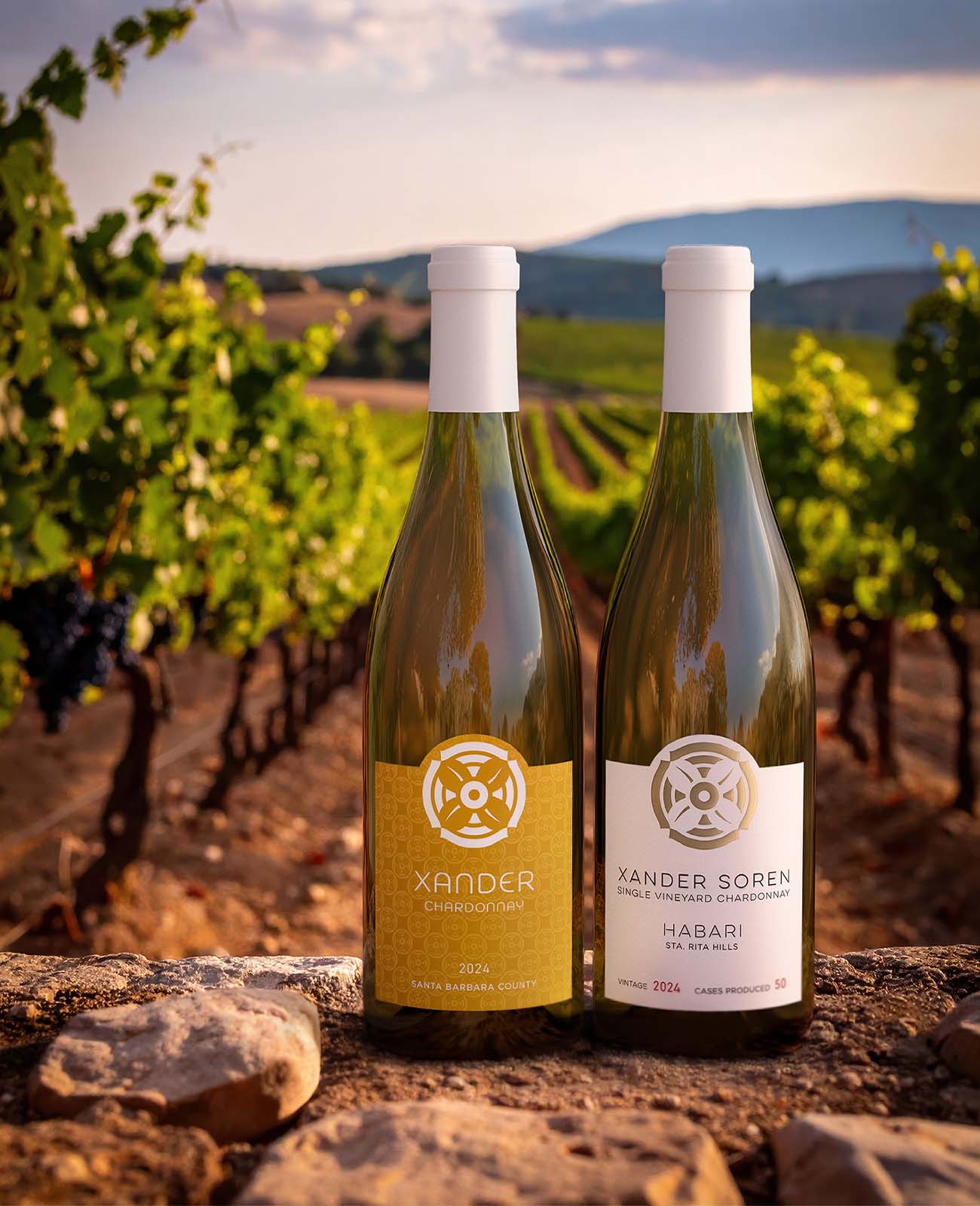 Wine bottles photographed on a rock in a vineyard at golden hour, showing premium lifestyle product imagery for wine branding and marketing.