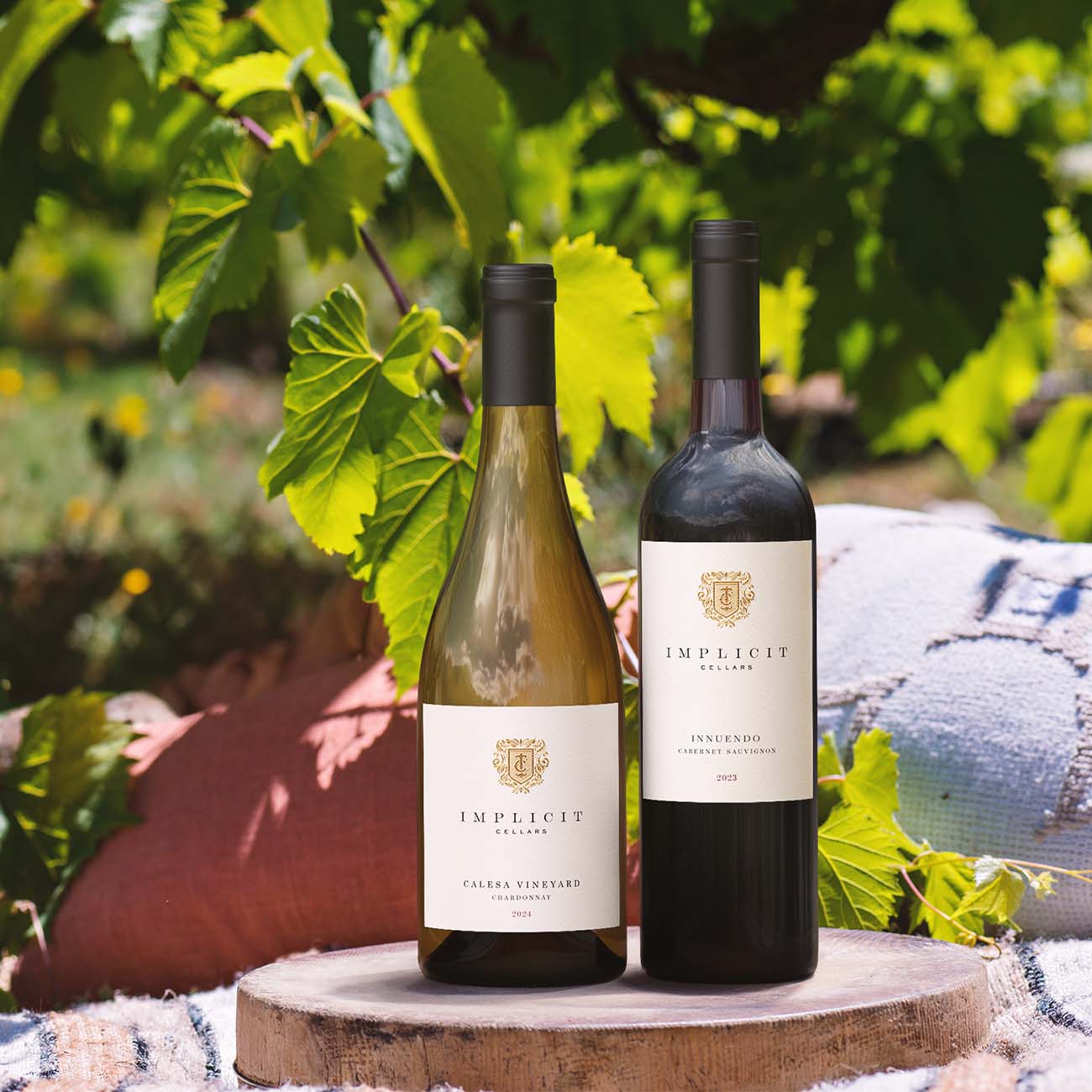 Lifestyle vineyard scene created from 3D bottle renders placed into an outdoor vineyard setting