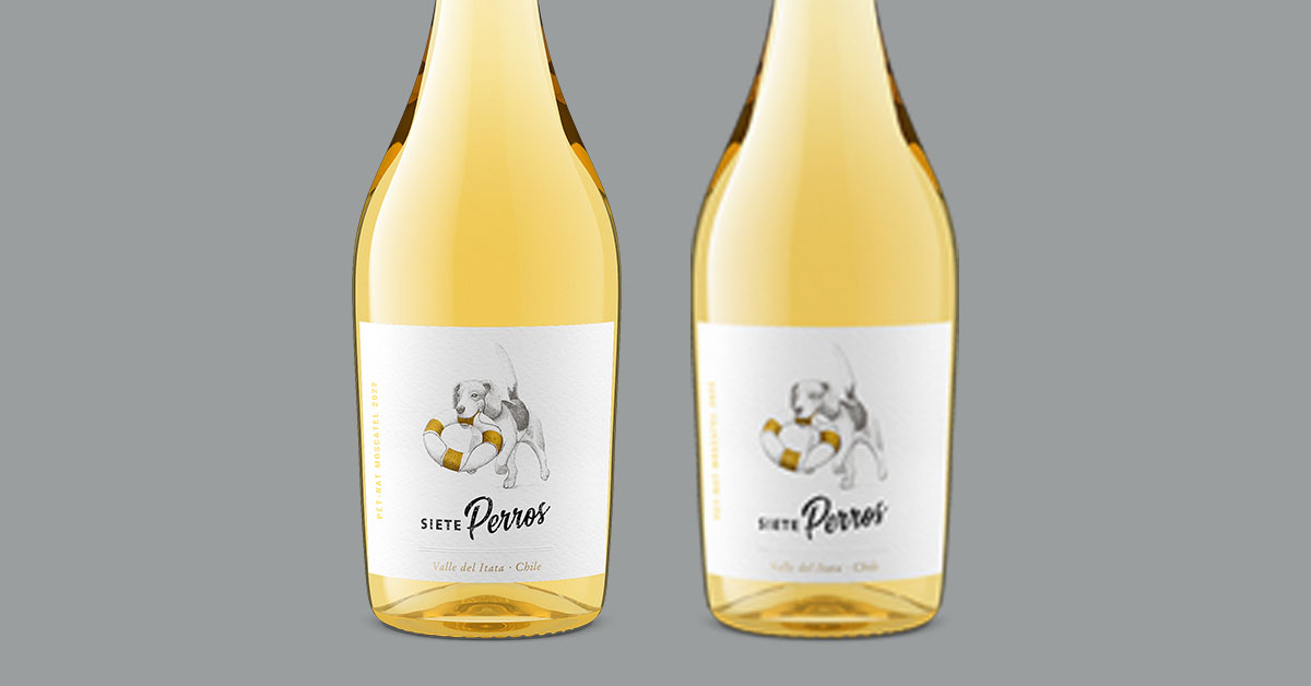 Chilean sparkling wine closeup showing visual formatting for product photography