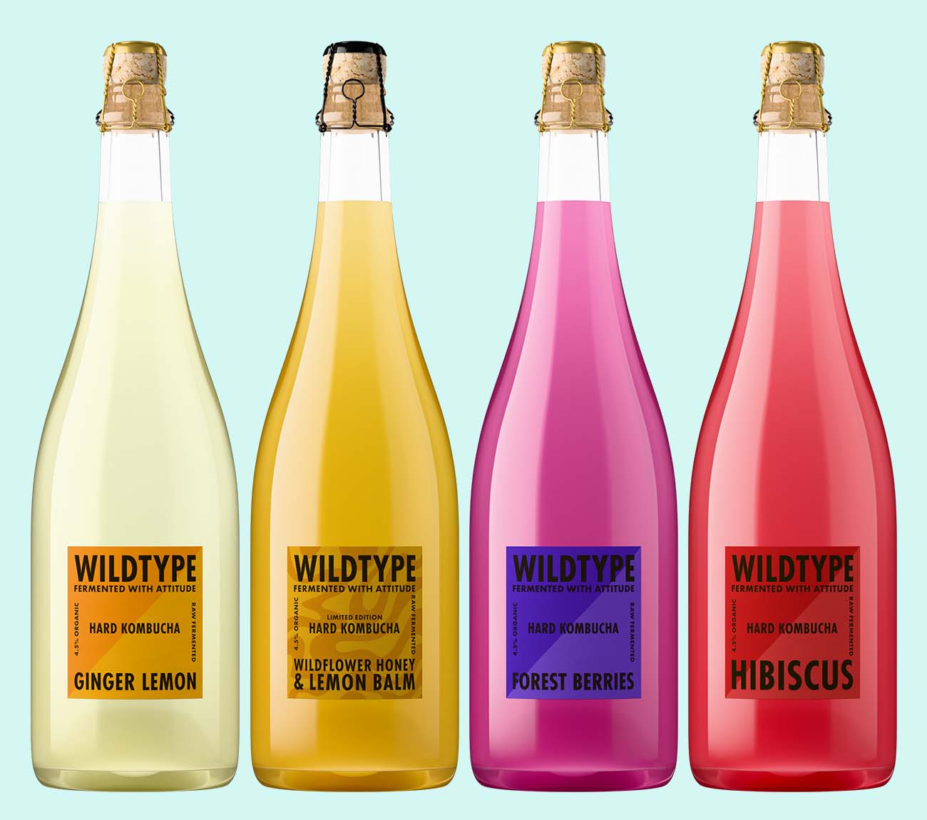 4 bottles of sparkling hard kombucha all photographed using Outshinery Lite