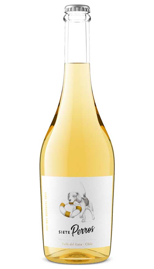 Wine bottle product shot by Outshinery