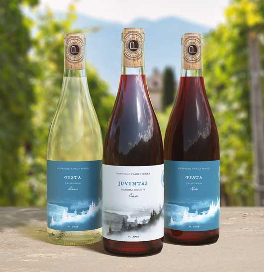 Wine lifestyle image by Outshinery