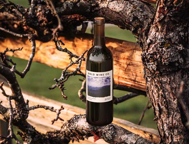 Wine bottle lifestyle image by Outshinery