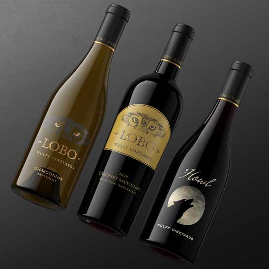 Wine bottle portfolio image by Outshinery