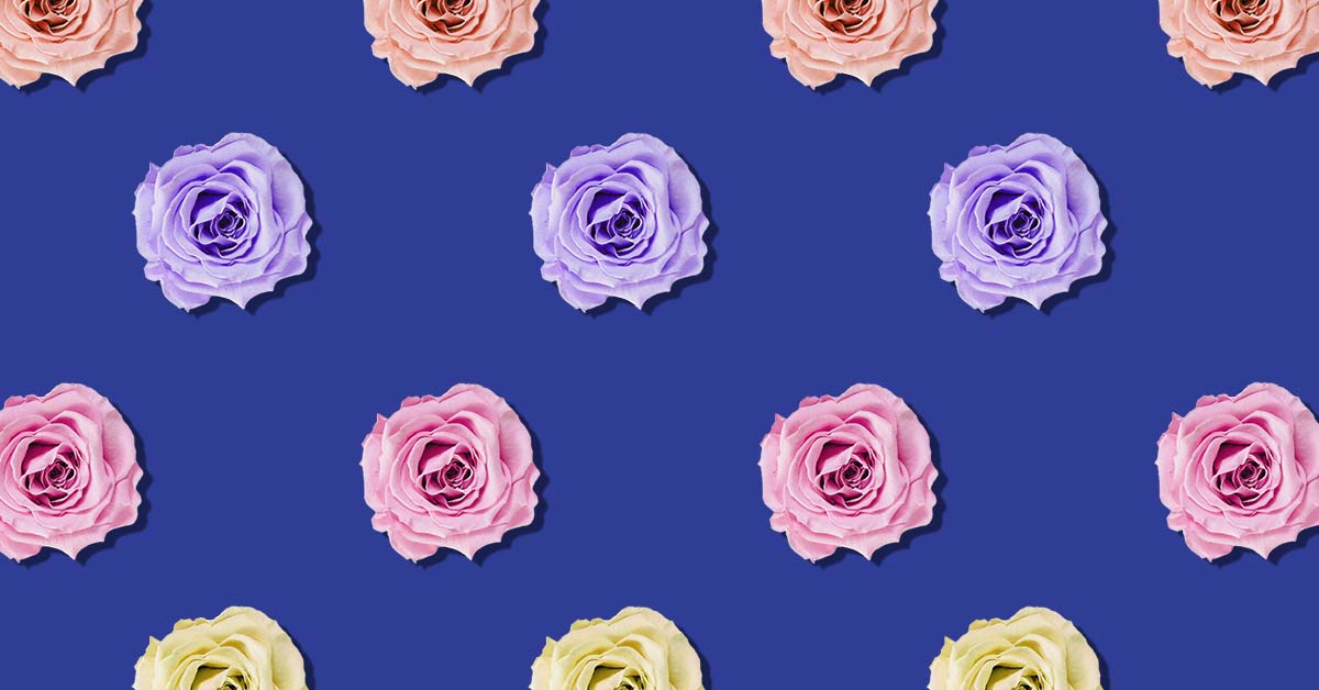 colorful flowers on blue background