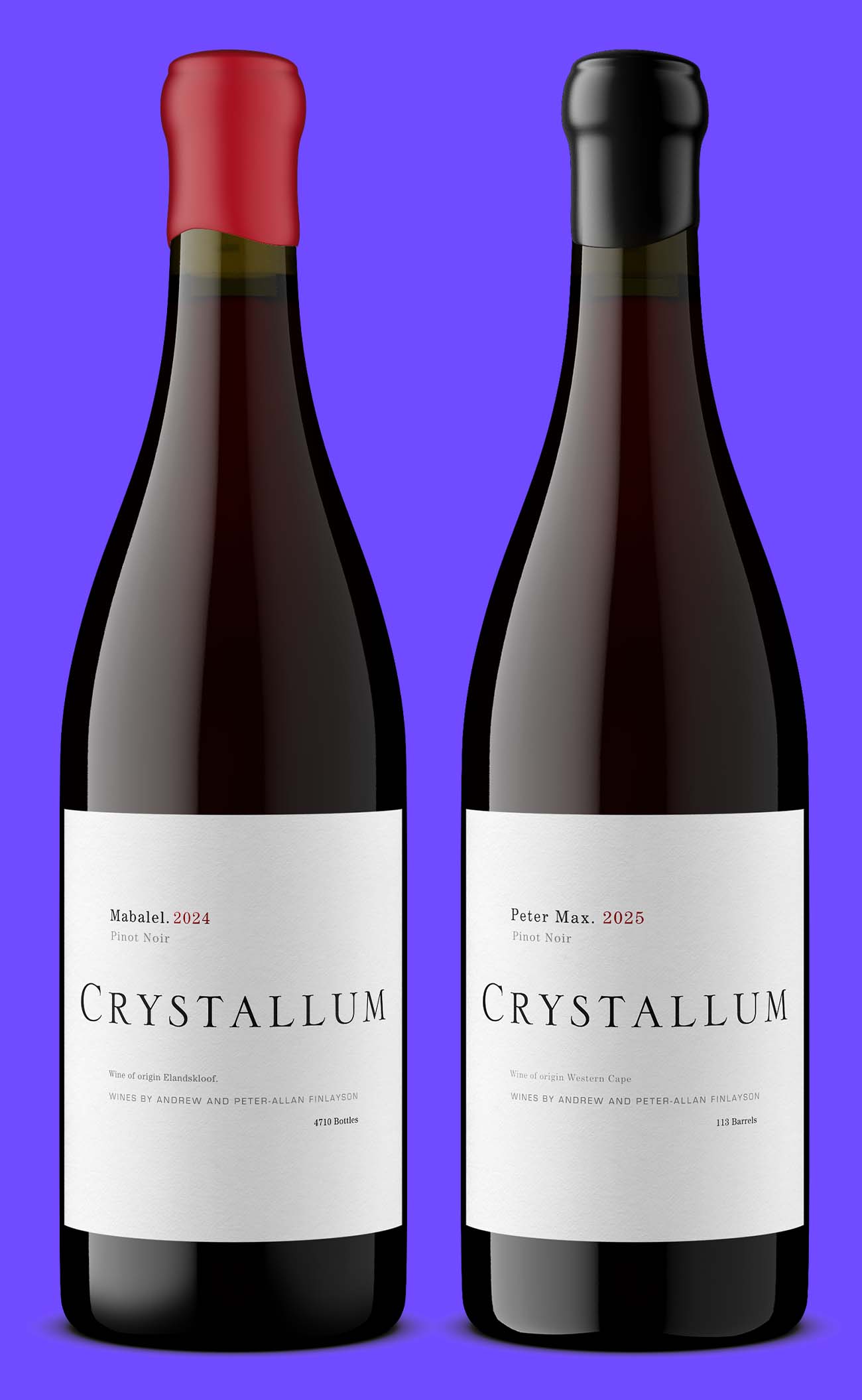 Two Pinot Noir bottles from one producer, a 2024 with red wax and a 2025 with a black capsule, each needing its own product image on Google Shopping