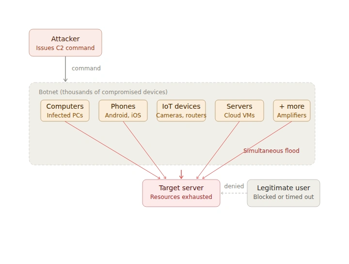 Diagram showing how a DDoS attack works. An attacker issues a command to a botnet of thousands of compromised devices, including computers, phones, IoT devices, cloud servers, and traffic amplifiers. All devices simultaneously flood a target server, exhausting its resources, while a legitimate user attempting to connect is denied access.