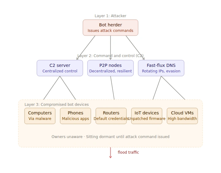 Structural diagram showing the three layers of a botnet. At the top, the bot herder issues attack commands. In the middle, the command-and-control layer consists of three infrastructure types: a centralized C2 server, peer-to-peer nodes for a decentralized and resilient architecture, and fast-flux DNS for rotating IPs and evasion. At the bottom, an army of compromised devices sits dormant until activated, including computers infected via malware, phones running malicious apps, routers with default credentials, IoT devices with unpatched firmware, and high-bandwidth cloud VMs. An arrow at the bottom points downward labeled "flood traffic," representing what the botnet unleashes on a target.