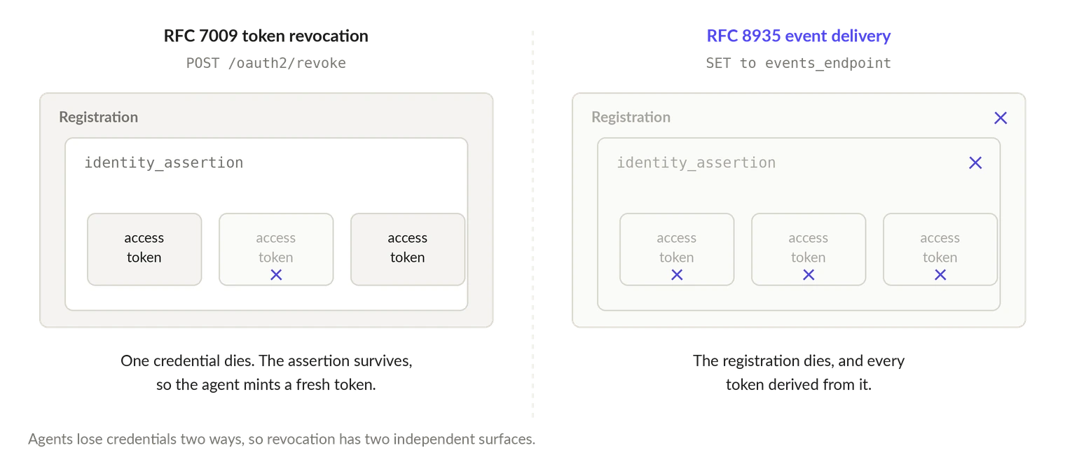 Two panels each showing a registration containing an identity assertion which contains three access tokens. In the RFC 7009 panel, a POST to /oauth2/revoke marks a single access token dead while the assertion and the other tokens survive, so the agent can mint a fresh token. In the RFC 8935 panel, a Security Event Token delivered to the events endpoint marks the registration, the assertion, and all three tokens dead.