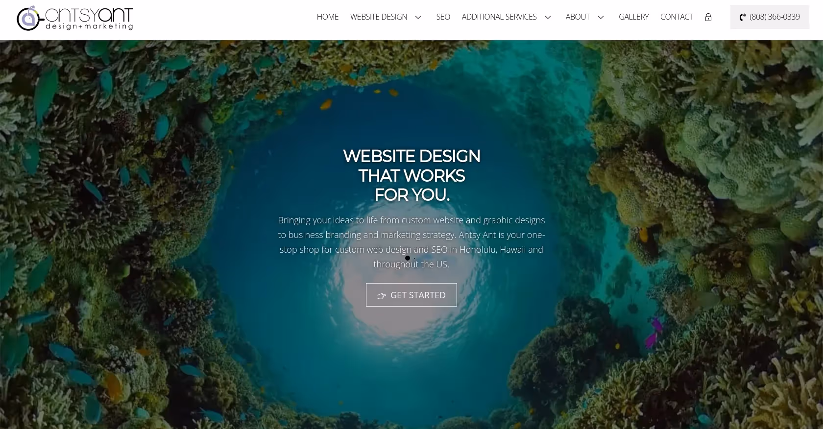 Antsy Ant Web Design