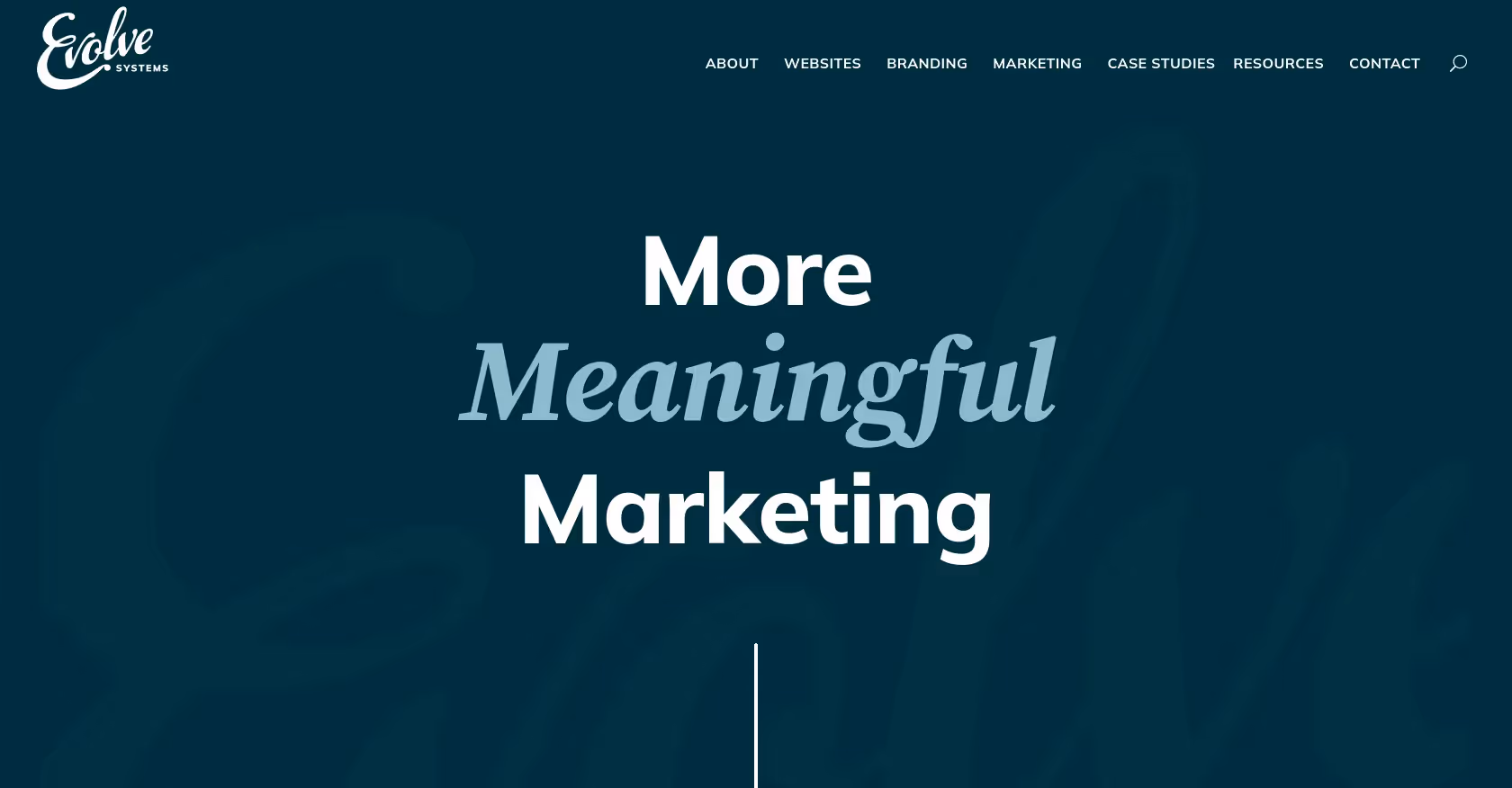 Evolve Systems