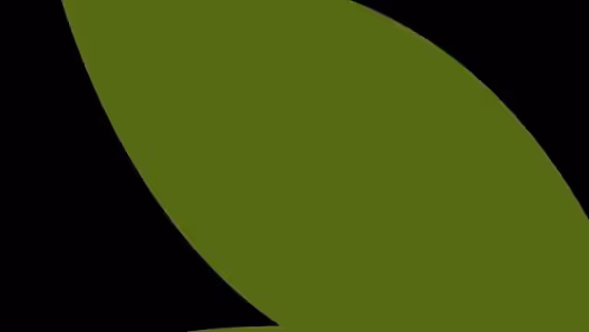 DM Thrive Agency