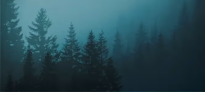Digital C4