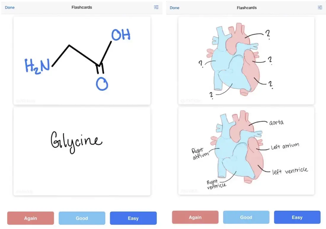 勉強中にアクティブリコールを適用する7つの実践的な方法 | Goodnotes ブログ