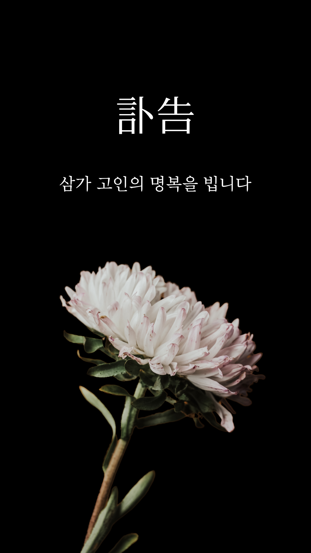 江風 吳銀河 이사 아드님 영면