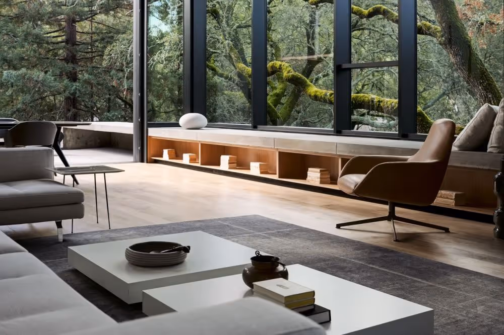 التصوير الداخلي