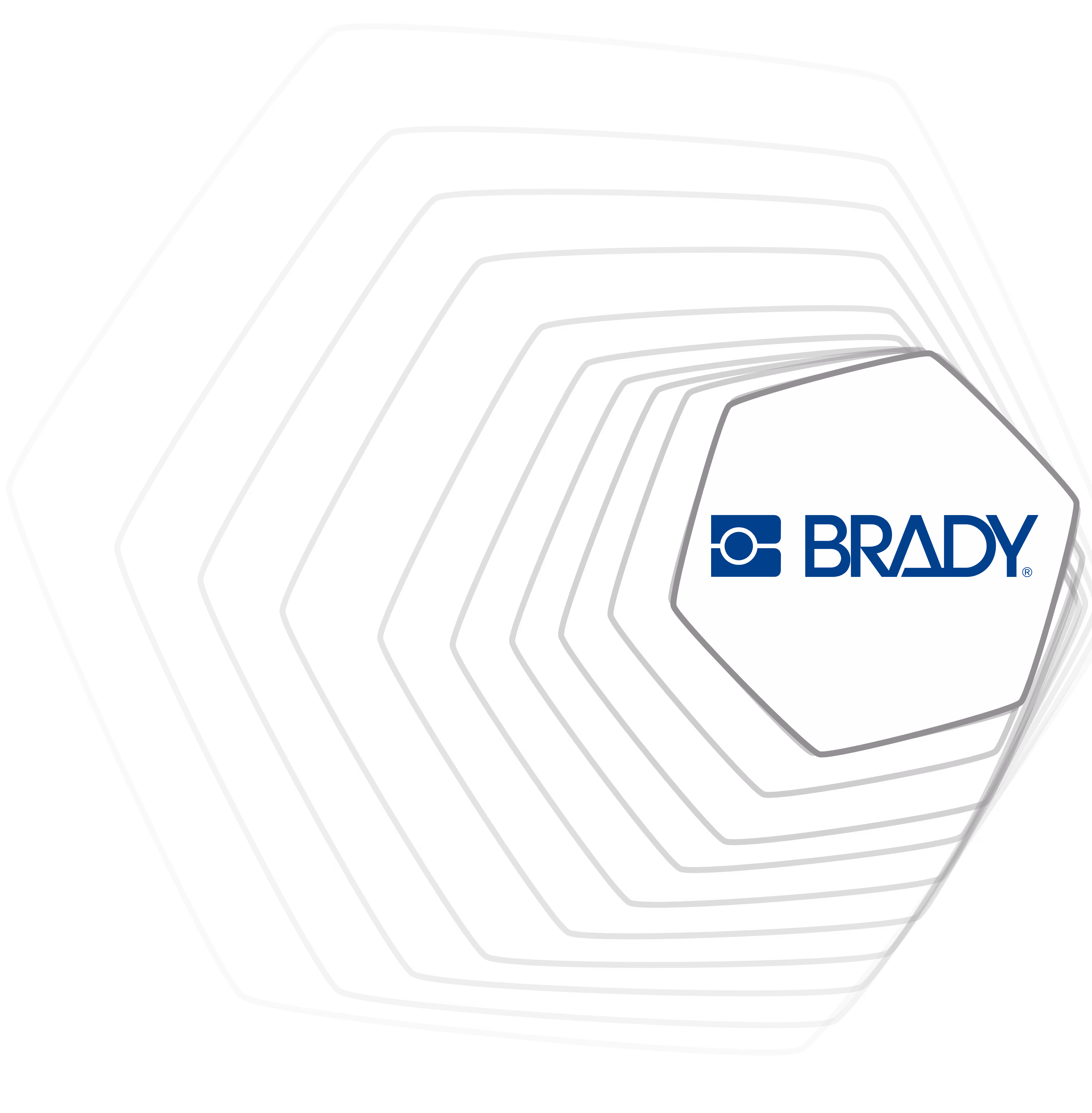 Brady Logo pic