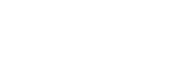 NTT Data