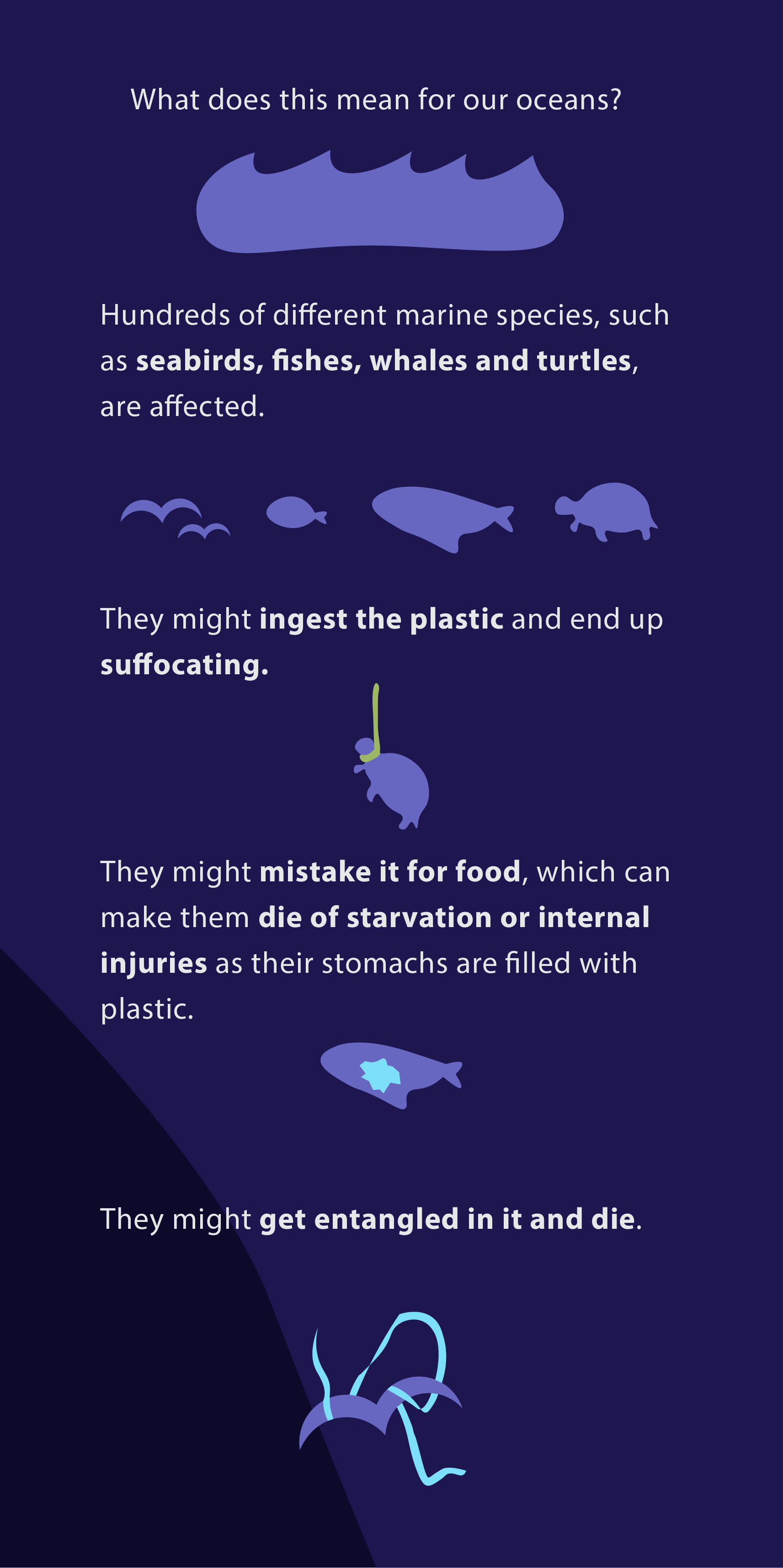 Infographic visuals