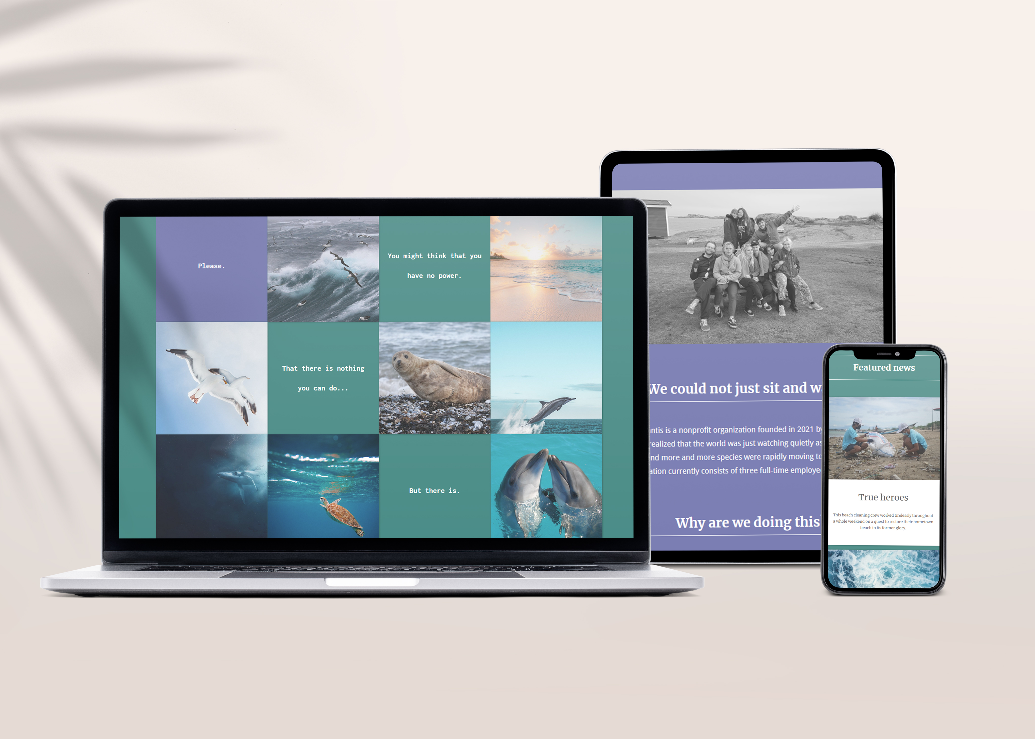 Website design mockups shown on different screens