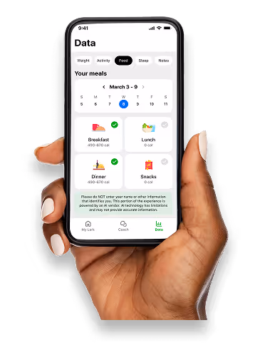 Hand holding a Lark app