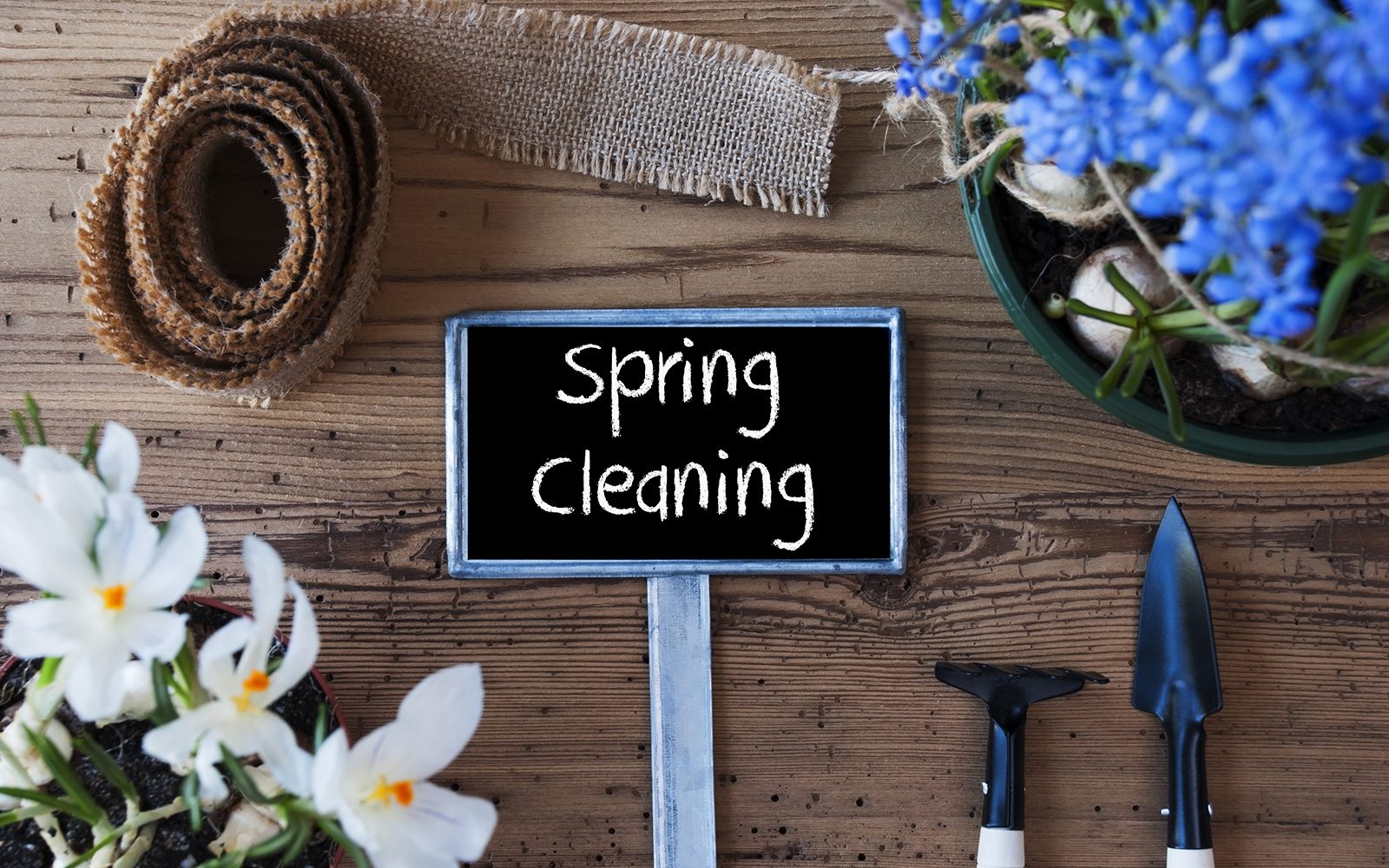 Make Spring Cleaning Work for Your Home and Health!|windows